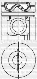 MOTOR PİSTON SEGMAN STD NİSSAN 100MM TAKIM resmi