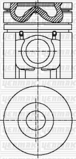 MOTOR PİSTON SEGMAN STD NİSSAN 100MM TAKIM resmi