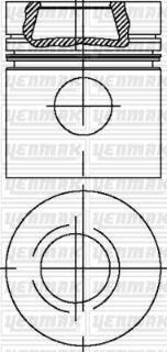 MOTOR PİSTON SEGMAN STD STATIONAR ENGINE TAKIM resmi