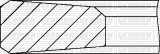 SEGMAN STD NİSSAN 100MM TAKIM resmi