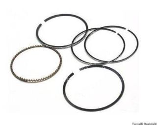 SEGMAN STD 73.00MM R12 1.3 resmi